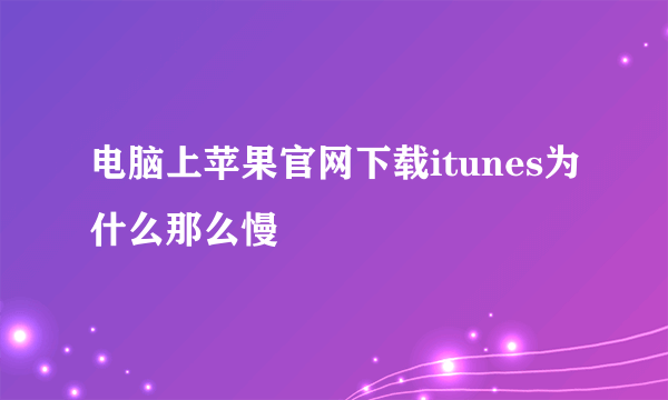 电脑上苹果官网下载itunes为什么那么慢