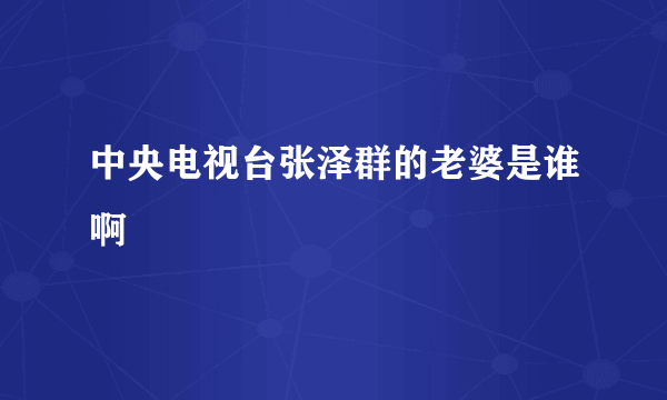 中央电视台张泽群的老婆是谁啊