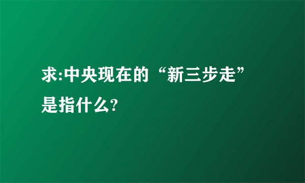 求:中央现在的“新三步走”是指什么?