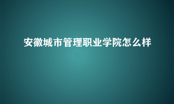 安徽城市管理职业学院怎么样