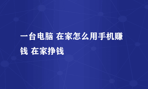 一台电脑 在家怎么用手机赚钱 在家挣钱