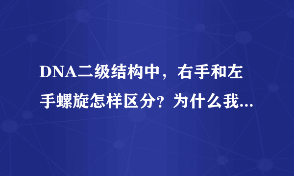 DNA二级结构中，右手和左手螺旋怎样区分？为什么我看右手螺旋像是左手螺旋？请各位帮忙解答，谢谢！