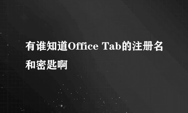 有谁知道Office Tab的注册名和密匙啊