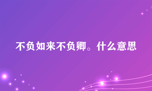 不负如来不负卿。什么意思