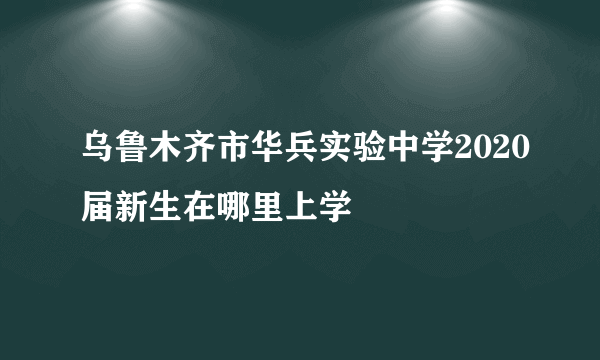 乌鲁木齐市华兵实验中学2020届新生在哪里上学