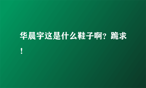 华晨宇这是什么鞋子啊？跪求！