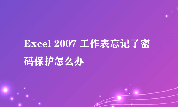 Excel 2007 工作表忘记了密码保护怎么办