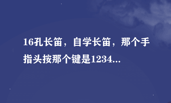 16孔长笛，自学长笛，那个手指头按那个键是1234567啊！