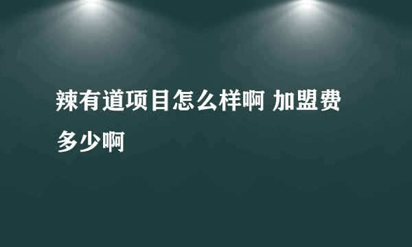 辣有道项目怎么样啊 加盟费多少啊