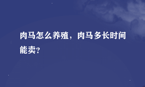 肉马怎么养殖，肉马多长时间能卖？