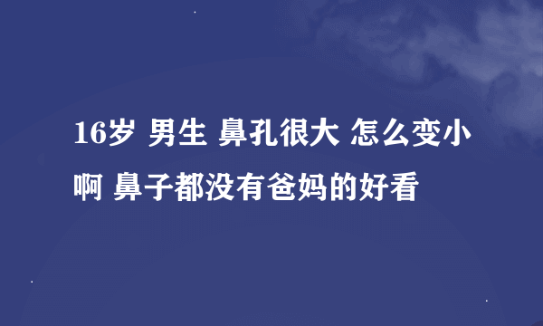 16岁 男生 鼻孔很大 怎么变小啊 鼻子都没有爸妈的好看