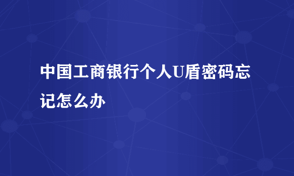 中国工商银行个人U盾密码忘记怎么办