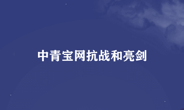 中青宝网抗战和亮剑