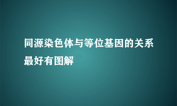 同源染色体与等位基因的关系最好有图解