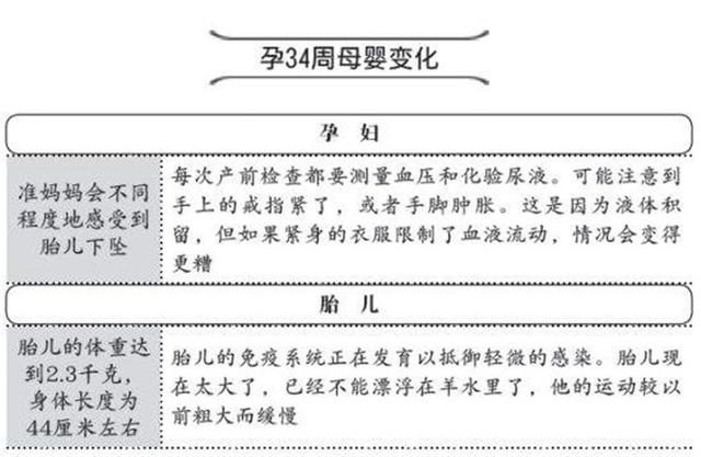 孕34周胎儿发育标准图，34周胎儿发育是什么样的