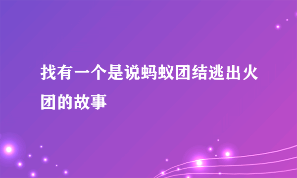 找有一个是说蚂蚁团结逃出火团的故事