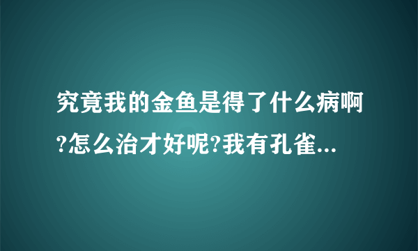 究竟我的金鱼是得了什么病啊?怎么治才好呢?我有孔雀石绿,白点净,万能鱼药,究竟用什么最好呢?都一个月了.