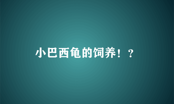 小巴西龟的饲养！？