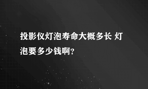 投影仪灯泡寿命大概多长 灯泡要多少钱啊？