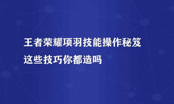 王者荣耀项羽技能操作秘笈 这些技巧你都造吗