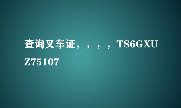 查询叉车证，，，，TS6GXUZ75107