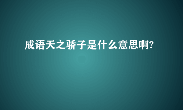 成语天之骄子是什么意思啊?