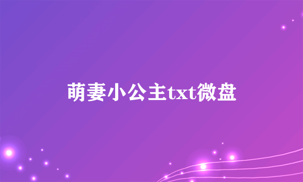 萌妻小公主txt微盘