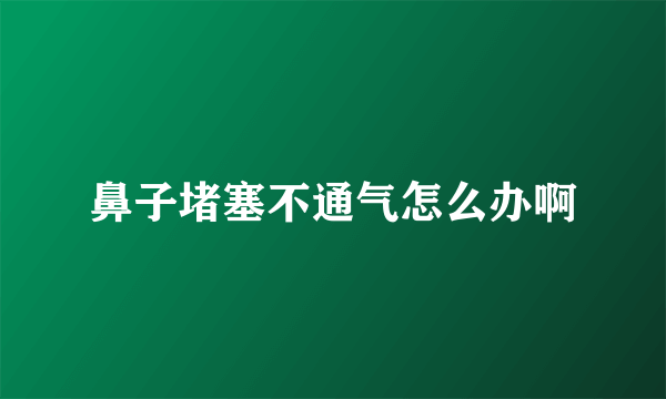 鼻子堵塞不通气怎么办啊