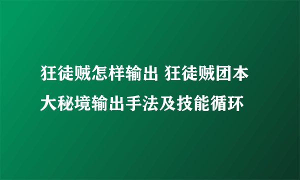 狂徒贼怎样输出 狂徒贼团本大秘境输出手法及技能循环