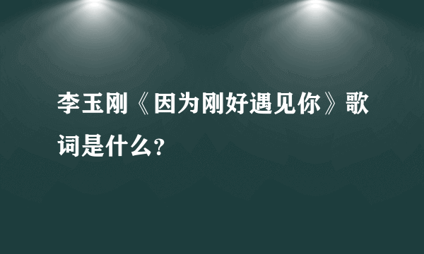 李玉刚《因为刚好遇见你》歌词是什么？