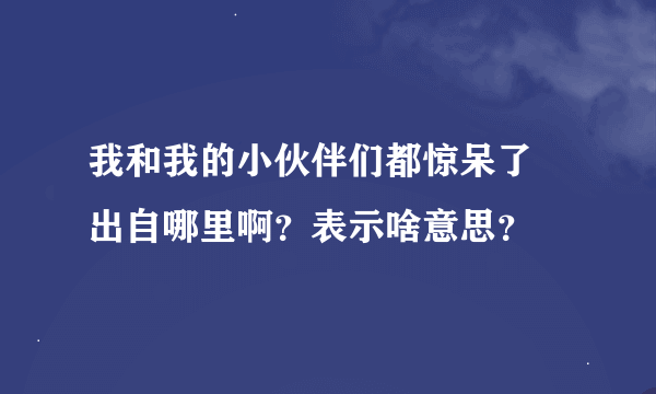 我和我的小伙伴们都惊呆了 出自哪里啊？表示啥意思？