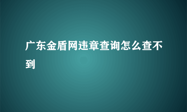 广东金盾网违章查询怎么查不到