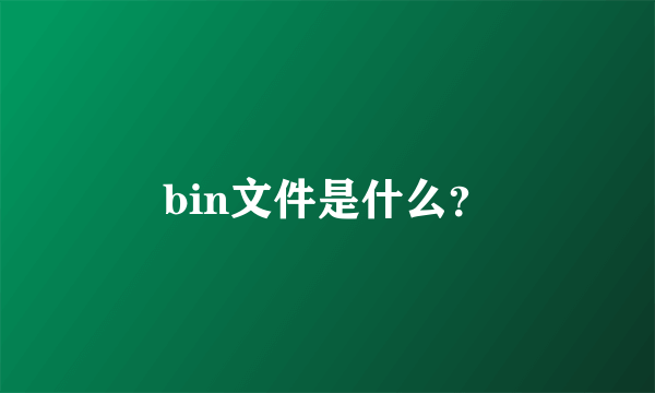 bin文件是什么？