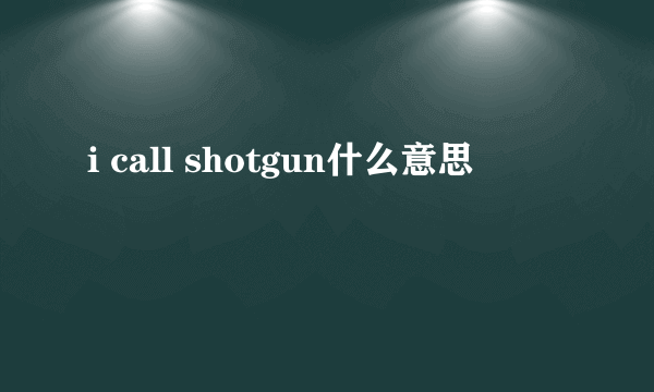 i call shotgun什么意思