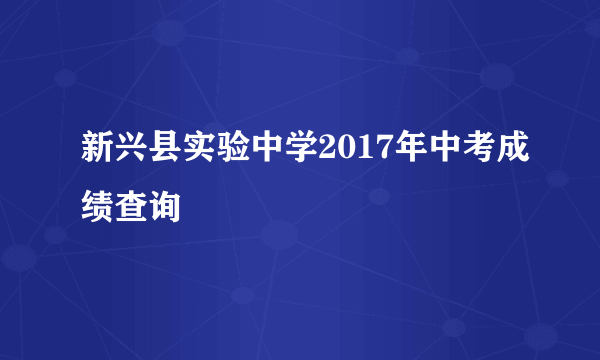 新兴县实验中学2017年中考成绩查询