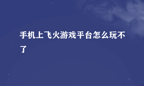 手机上飞火游戏平台怎么玩不了