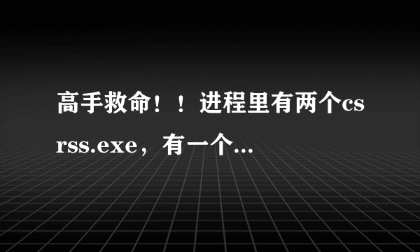 高手救命！！进程里有两个csrss.exe，有一个是大写。