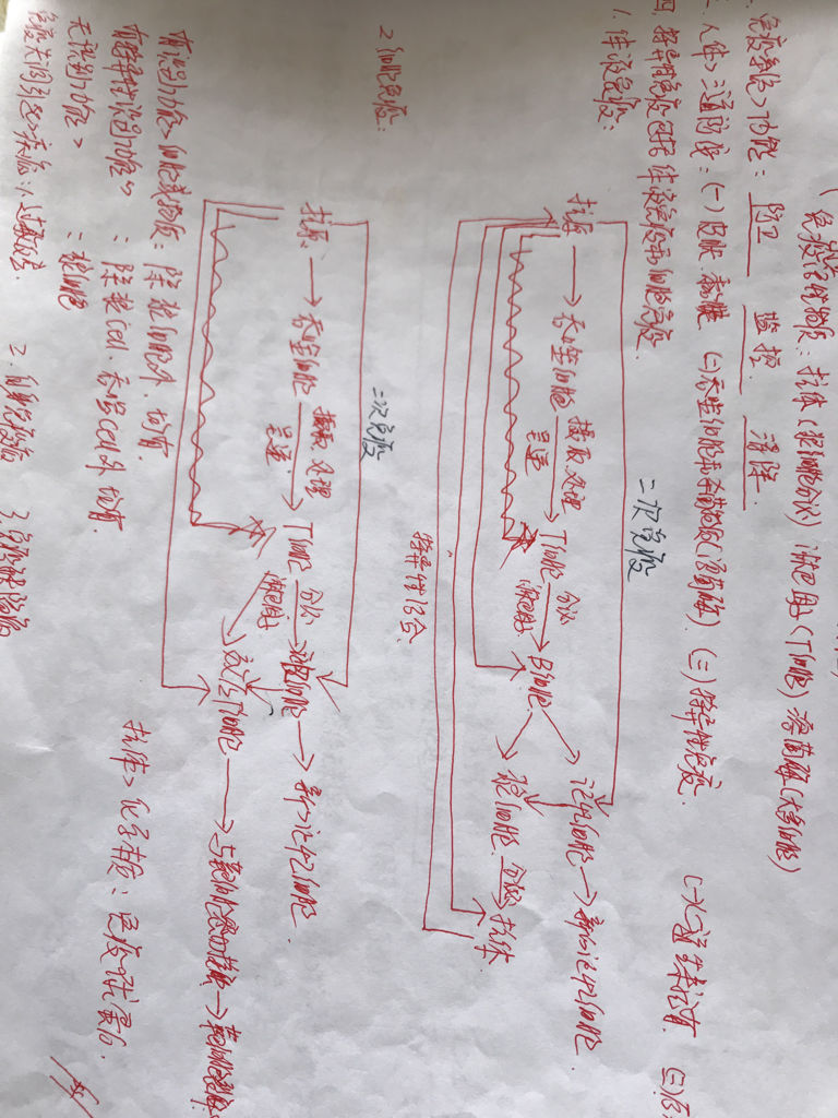 高中生物:人体体液免疫和细胞免疫过程图