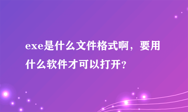 exe是什么文件格式啊，要用什么软件才可以打开？