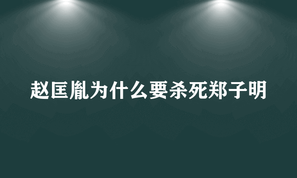 赵匡胤为什么要杀死郑子明