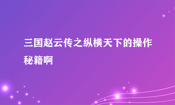 三国赵云传之纵横天下的操作秘籍啊